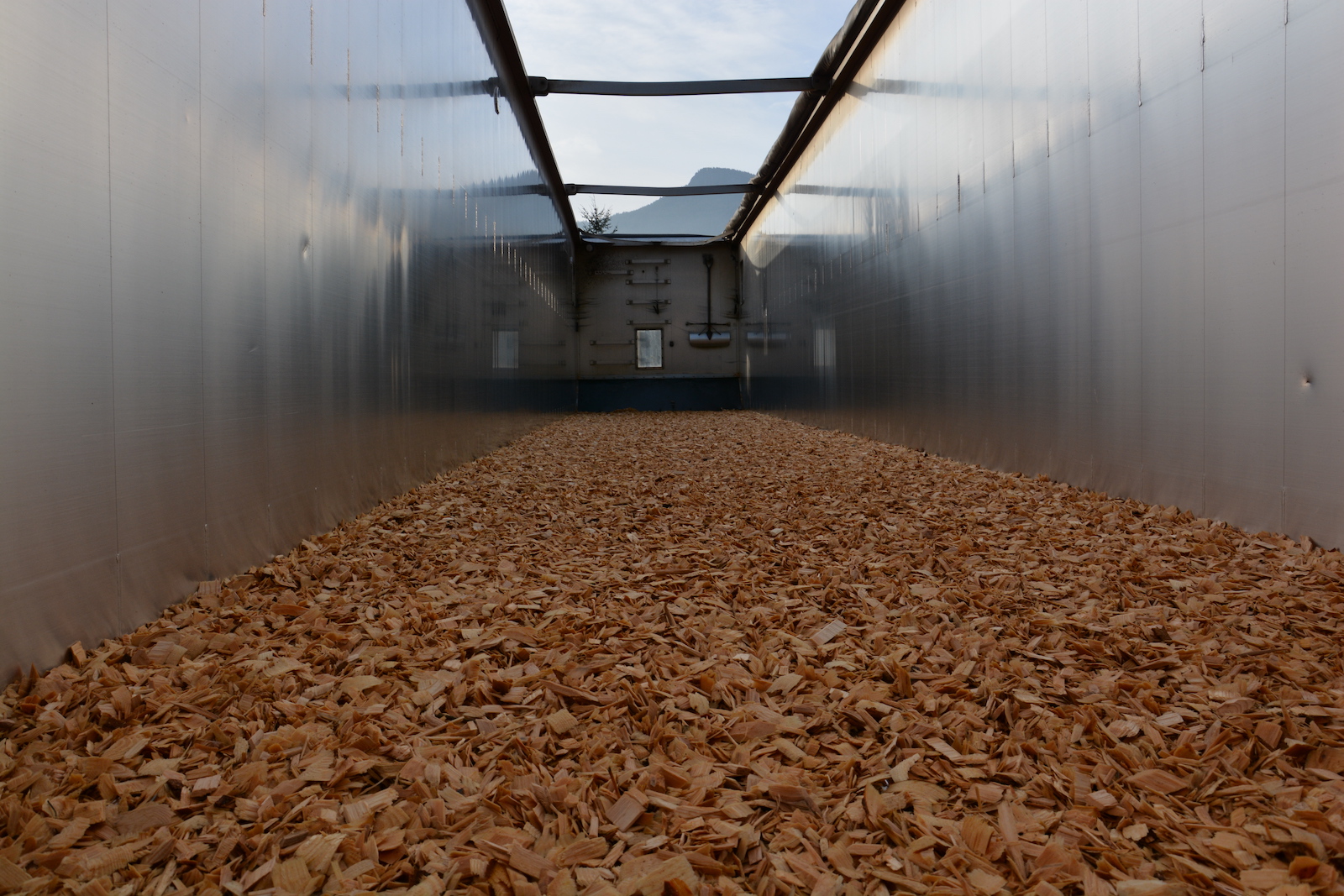 wood chips wood chips