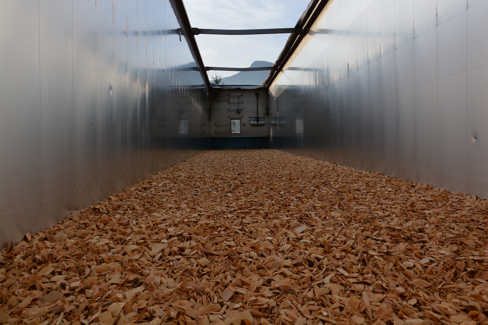 wood chips